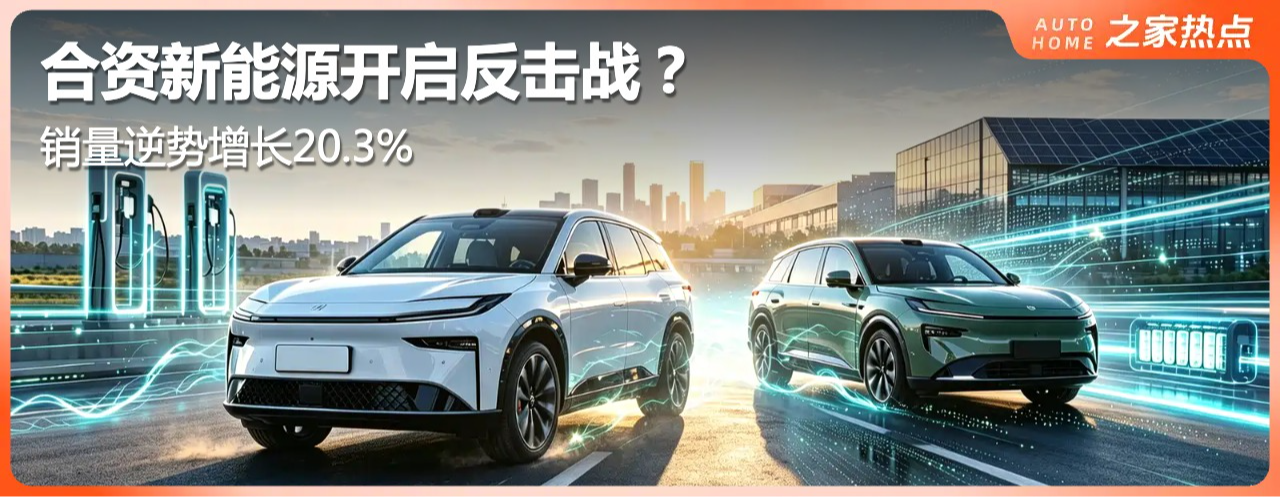 ������������20.3%����������Դ��������ս��
